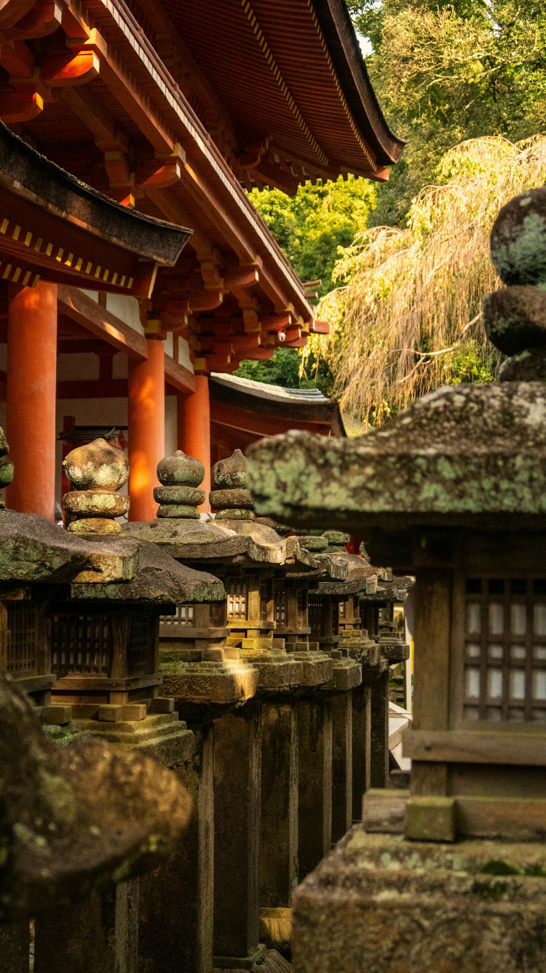 Photo by Svetlana Gumerova brown temple